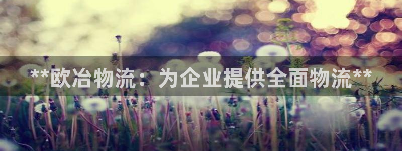 28圈充值不到账怎么办