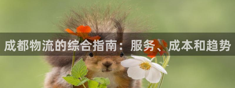28圈APP是干什么的