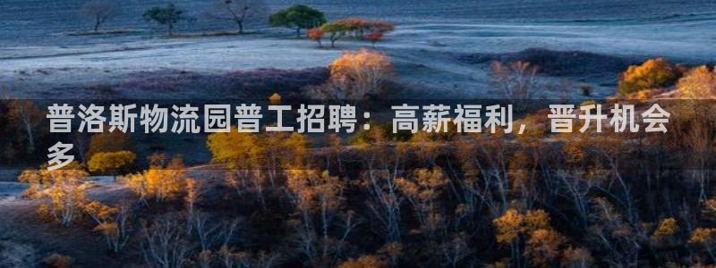 麻将128圈：普洛斯物流园普工招聘：