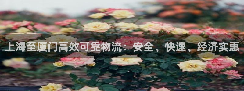 28圈加拿大2.8预测在线预测：上海