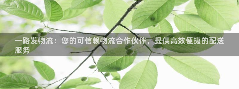 28圈.ccmpcios