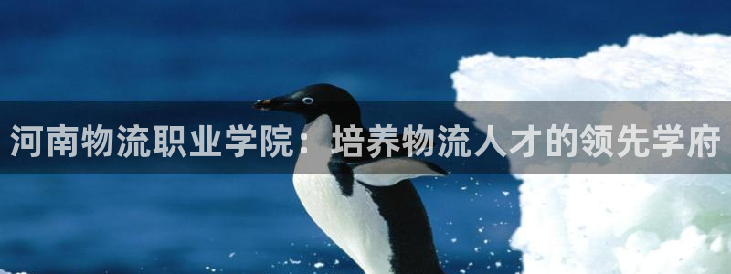 28圈是干嘛的：河南物流职业学院：培