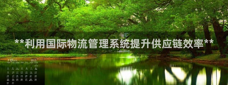 28圈ccm游戏：**利用国际物流管