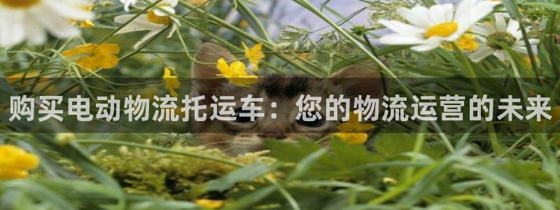 28圈提款一直没到：购买电动物流托运
