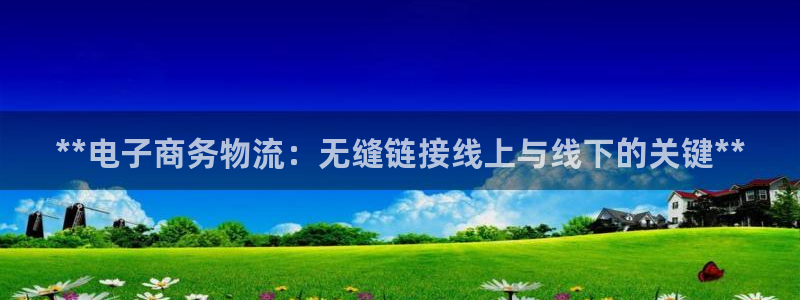 28圈链接多少：**电子商务物流：无