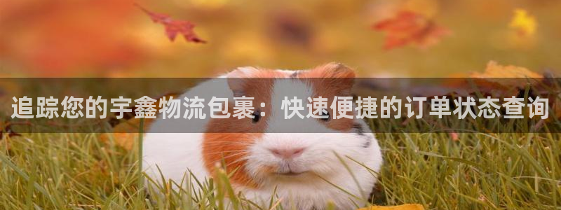 28圈游戏官网版：追踪您的宇鑫物流包