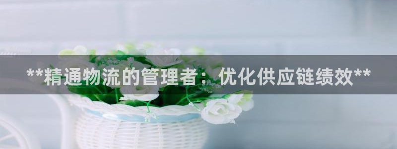 28圈怎么注册游戏名字：**精通物流