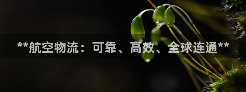 28圈.ccm2024
