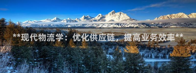 28圈加拿大是什么意思：**现代物流