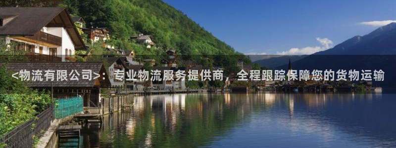 28圈官网版2024：<物流有限公司