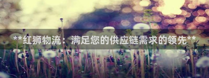 28圈pg如何退钱：**红狮物流：满