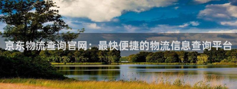 28圈注册网站加拿大：京东物流查询官