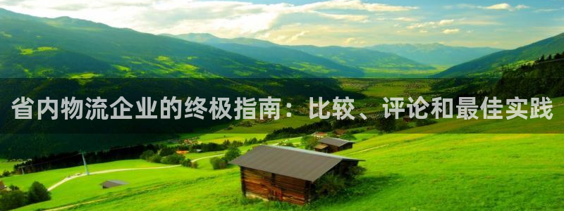 28圈玩法：省内物流企业的终极指南：