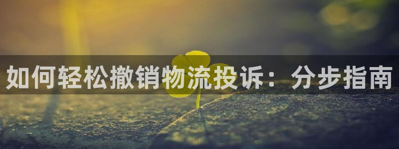 28圈官网多少