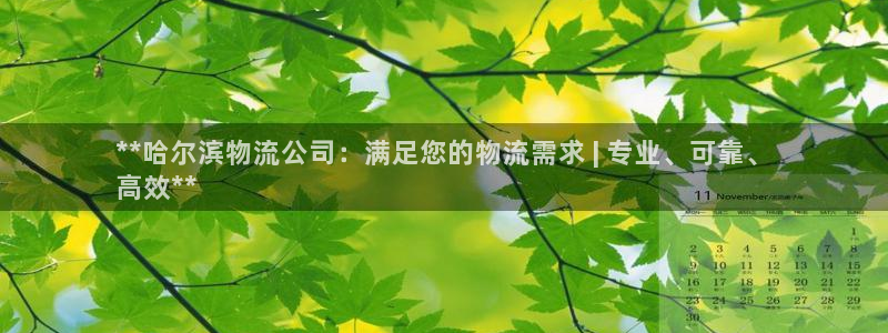 28圈网站怎么注册：**哈尔滨物流公