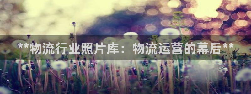 28圈反水什么时候到：**物流行业照