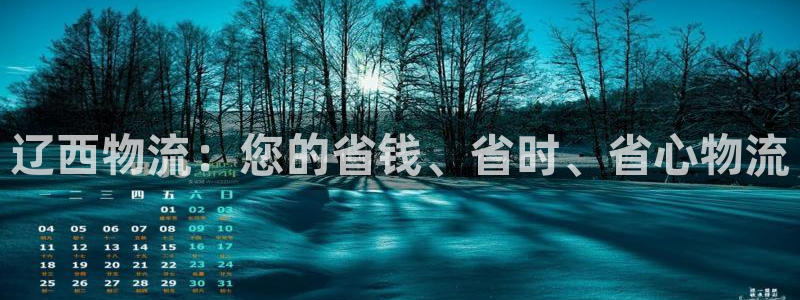 28圈娱乐官网网页下载：辽西物流：您