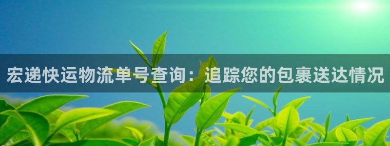 28圈加拿大预测：宏递快运物流单号查