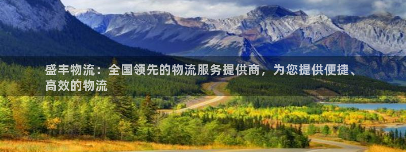 28圈官方：盛丰物流：全国领先的物流