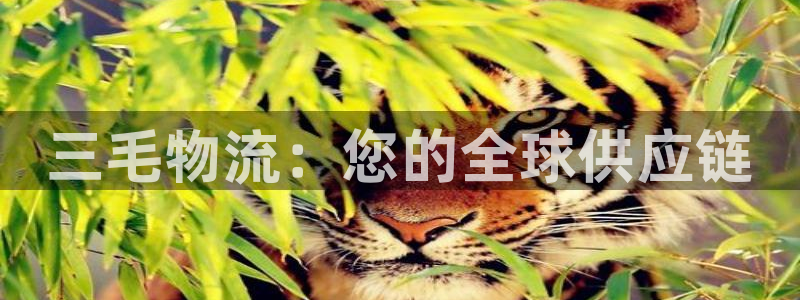 28圈登录用户名登录不上：三毛物流：