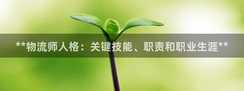 28圈注册与教程：**物流师人格：关