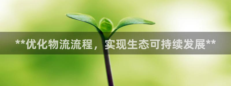 28圈注册送：**优化物流流程，实现