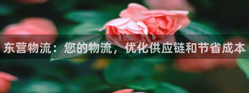 28圈官方