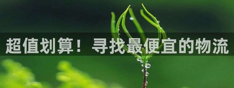 28圈注册链接入口