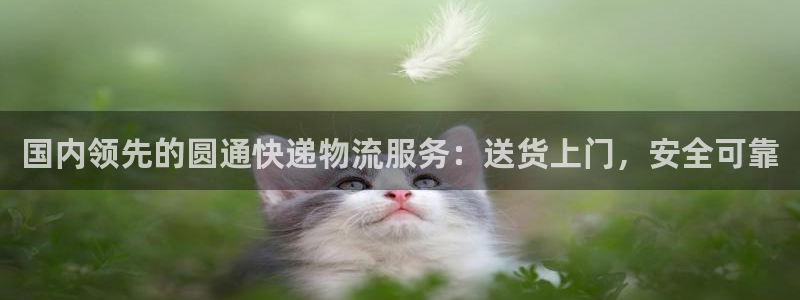 28圈加拿大能提现吗：国内领先的圆通