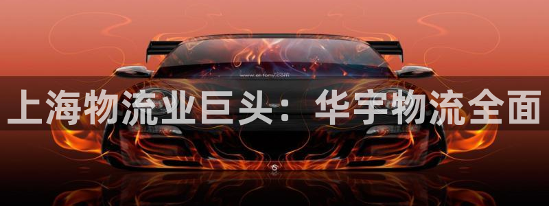 28圈app能退款吗：上海物流业巨头