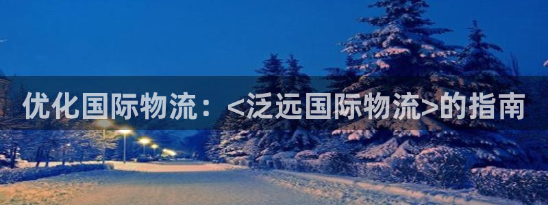 28圈加拿大：优化国际物流：<泛远国