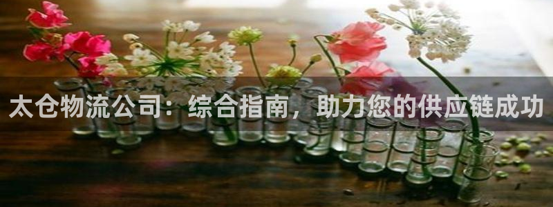 28圈模拟：太仓物流公司：综合指南，