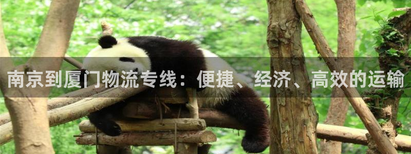 28圈加拿大技巧：南京到厦门物流专线