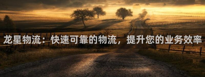 28圈注册网站链接是什么：龙星物流：