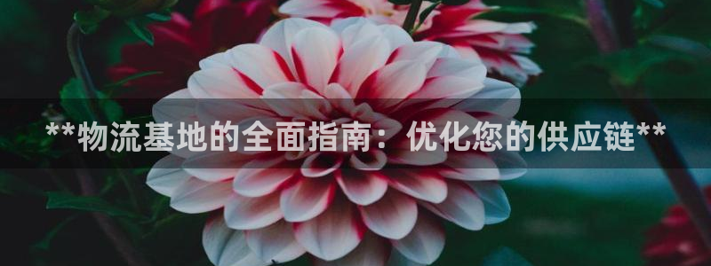 28圈充值方式