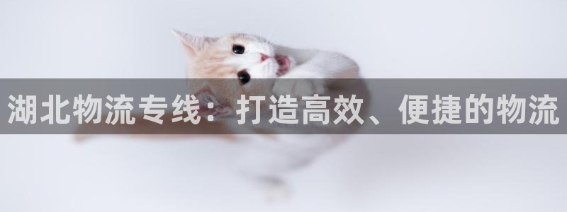 28圈代理落网：湖北物流专线：打造高