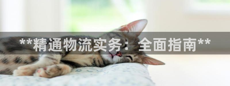 28圈人工客服电话是什么：**精通物