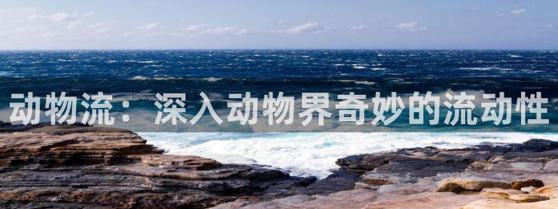 28圈软件堵什么反什么：动物流：深入
