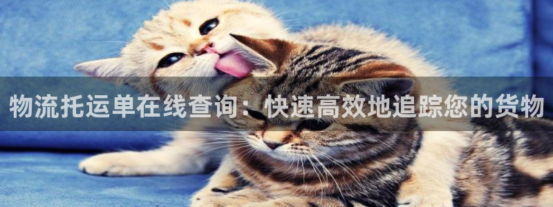 28圈可以退款吗
