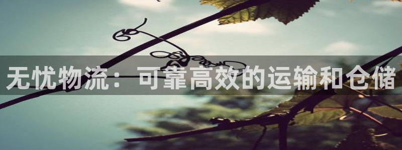 28圈预测