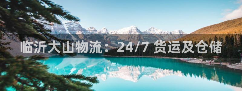 28圈游戏官网入口：临沂大山物流：2