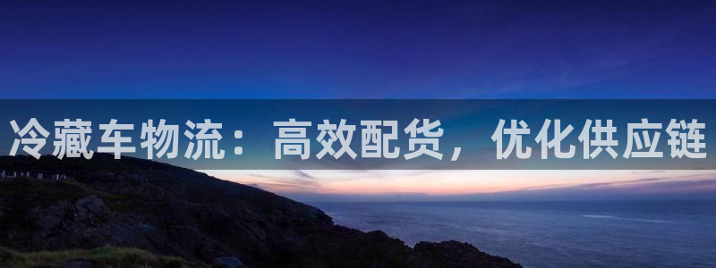 28圈软件总是闪退怎么回事：冷藏车物