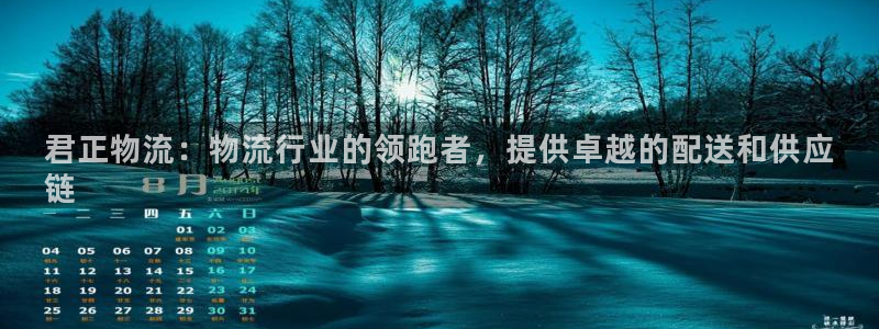 28圈选28ng官网：君正物流：物流