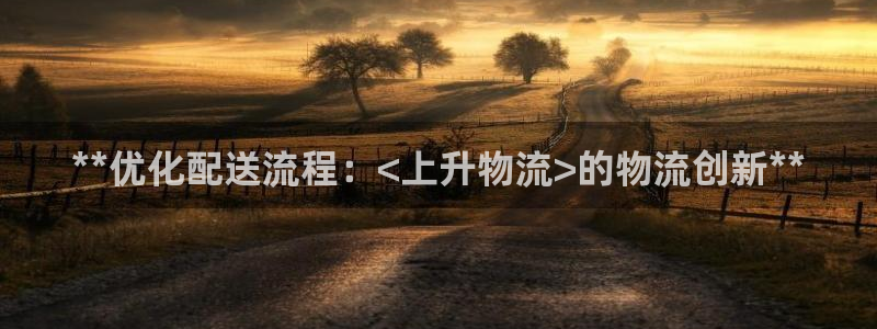 28圈黑钱：**优化配送流程：<上升