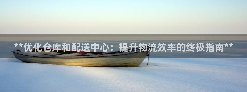28圈链接多少：**优化仓库和配送中