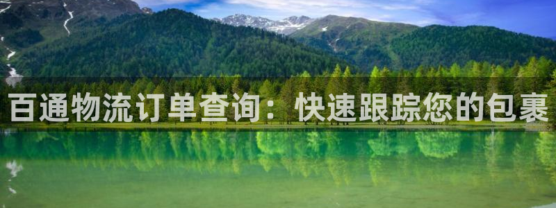 28圈模拟器：百通物流订单查询：快速跟踪您的包裹