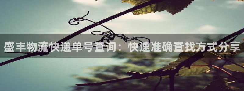 28圈加拿大官网：盛丰物流快递单号查