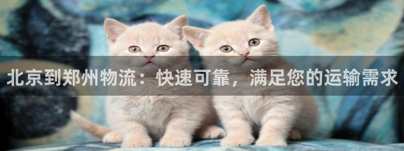 28圈app能退款吗：北京到郑州物流