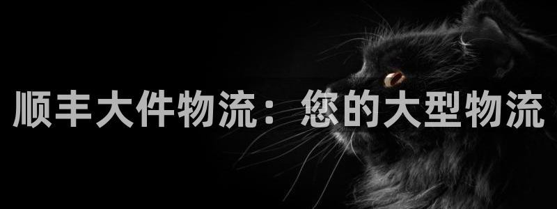 28圈怎么注册：顺丰大件物流：您的大
