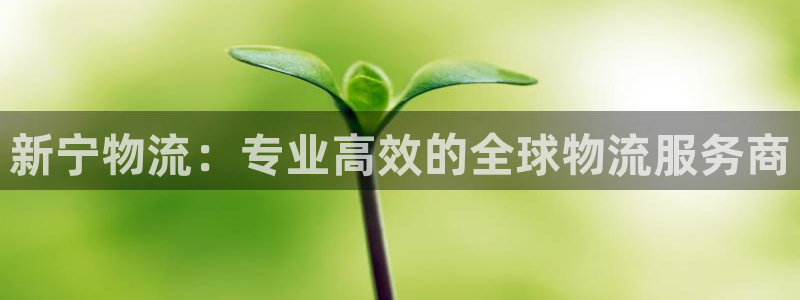 28圈注册网站APP：新宁物流：专业